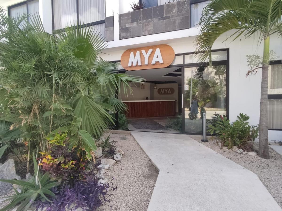 Nuevo Estudio Con Terraza Totalmente Equipado Tulum Aldea Zama Zewnętrze zdjęcie